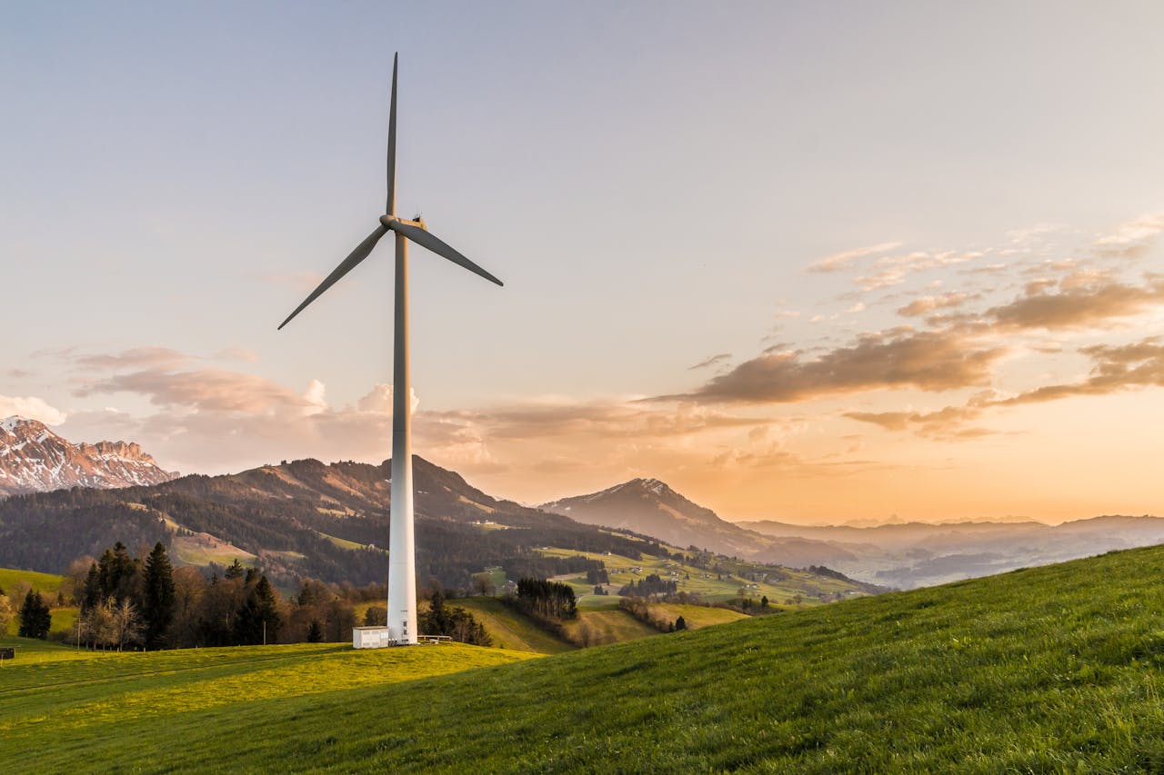 Ce sunt turbinele eoliene și cum produc energie electrică