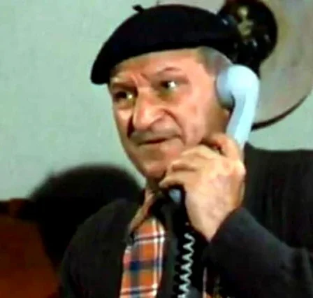 Ștefan Mihăilescu-Brăila